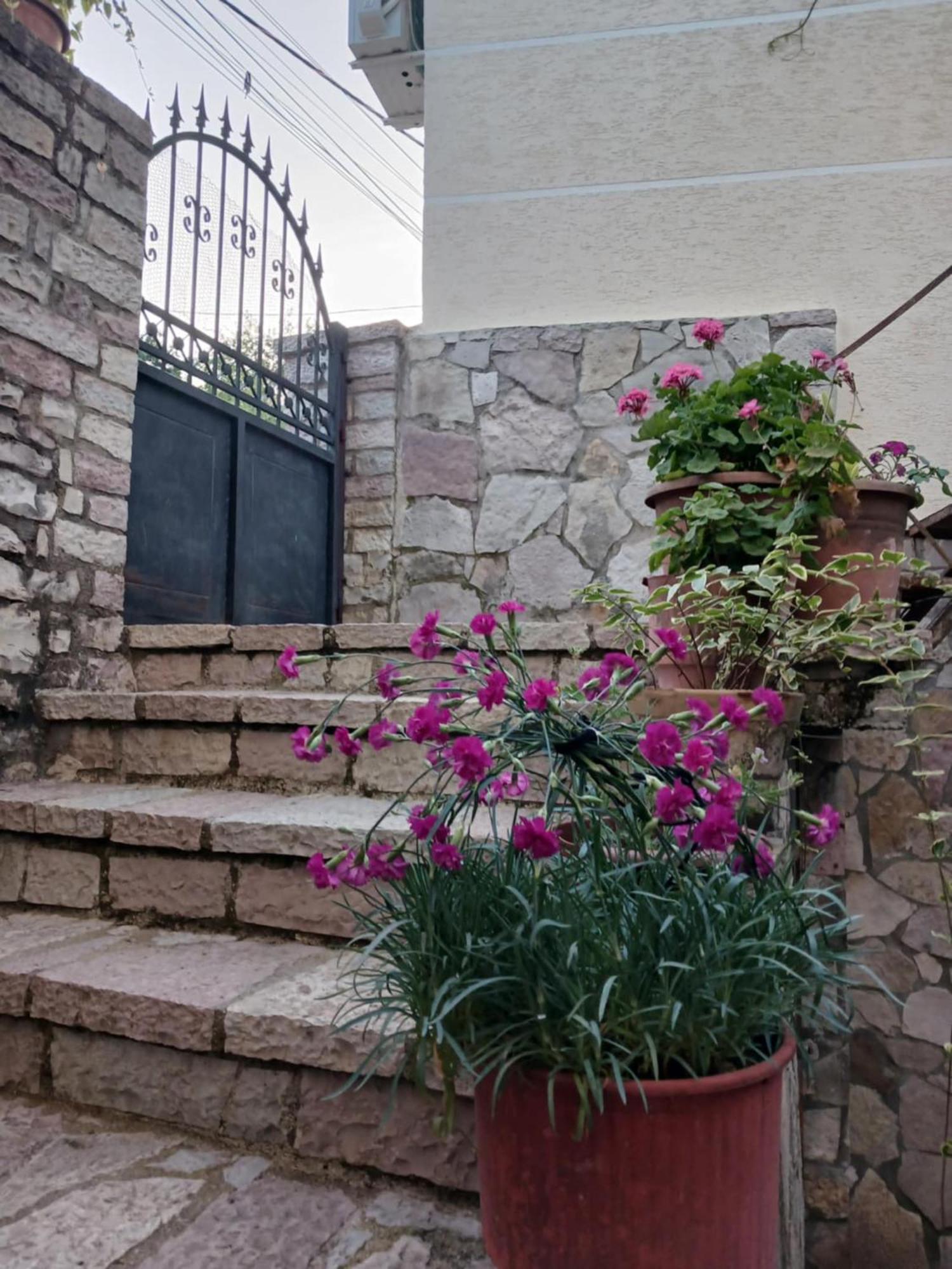 Eniguesthouse Gjirokastër Екстериор снимка